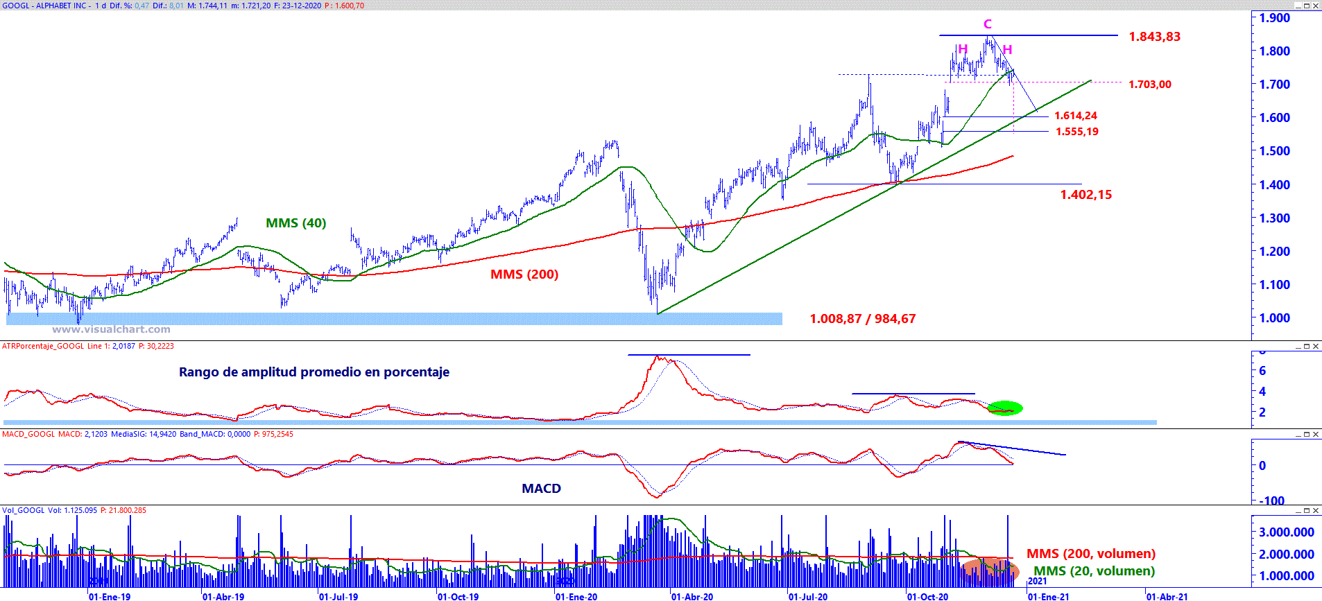 Analisis grafico de Google