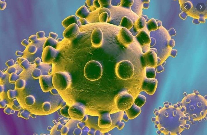 Posible vacuna coronavirus impulsa bolsas al alza