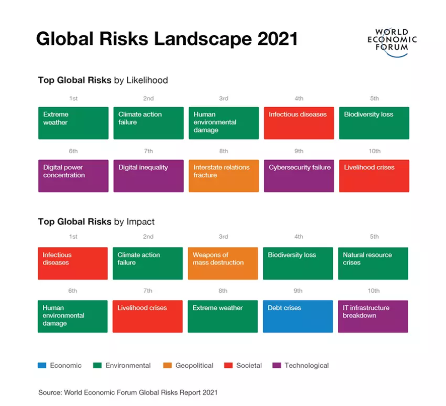 Riesgos globales para 2021