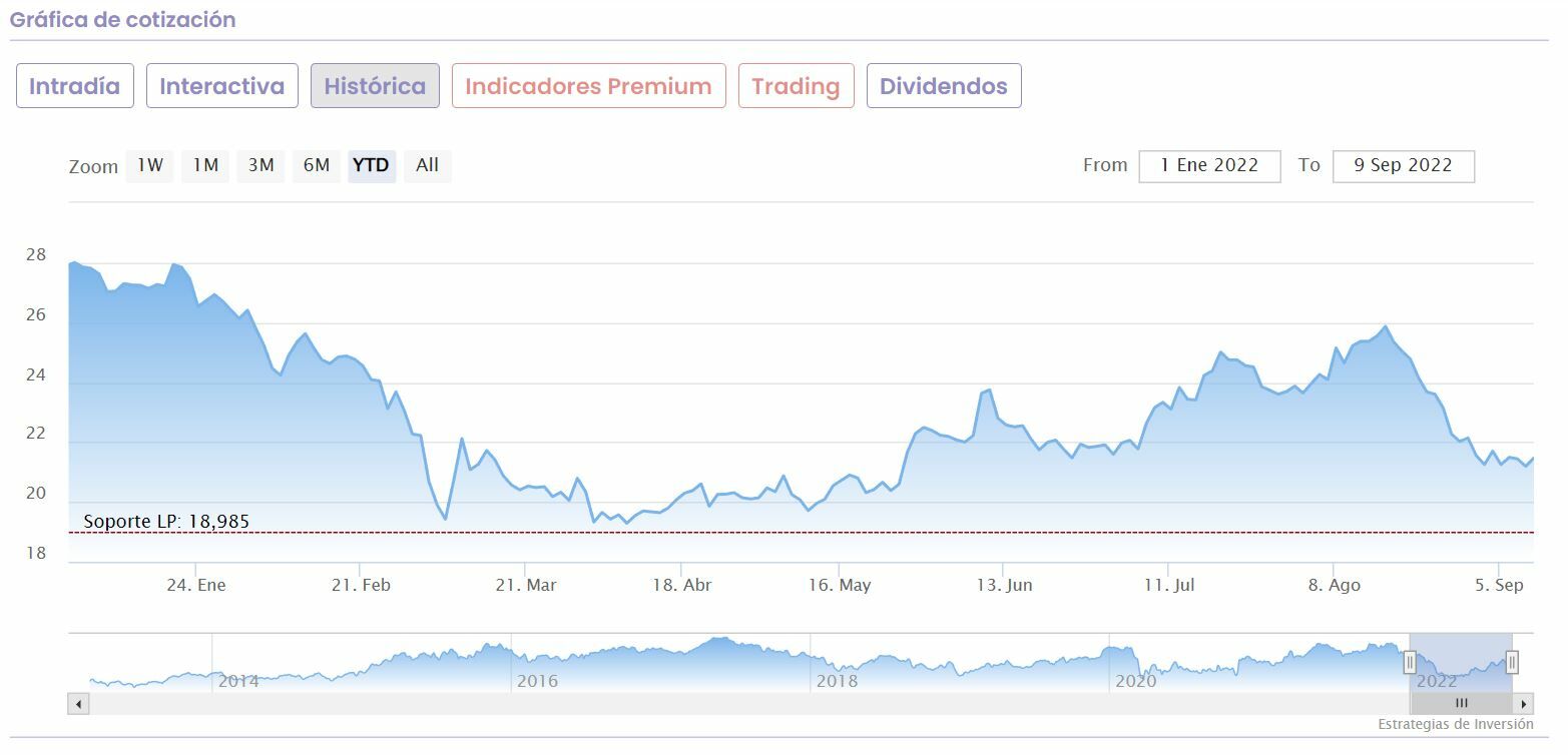 Inditex cotización anual del valor 