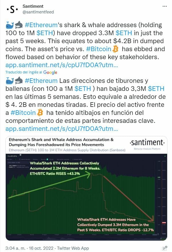 Ethereum evolución de ballenas y tiburones 