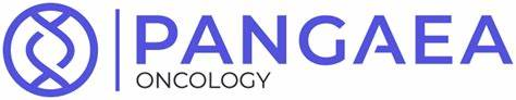 Pangaea se centra en integrar, consolidar y aflorar el valor tecnológico de su nuevo tamaño