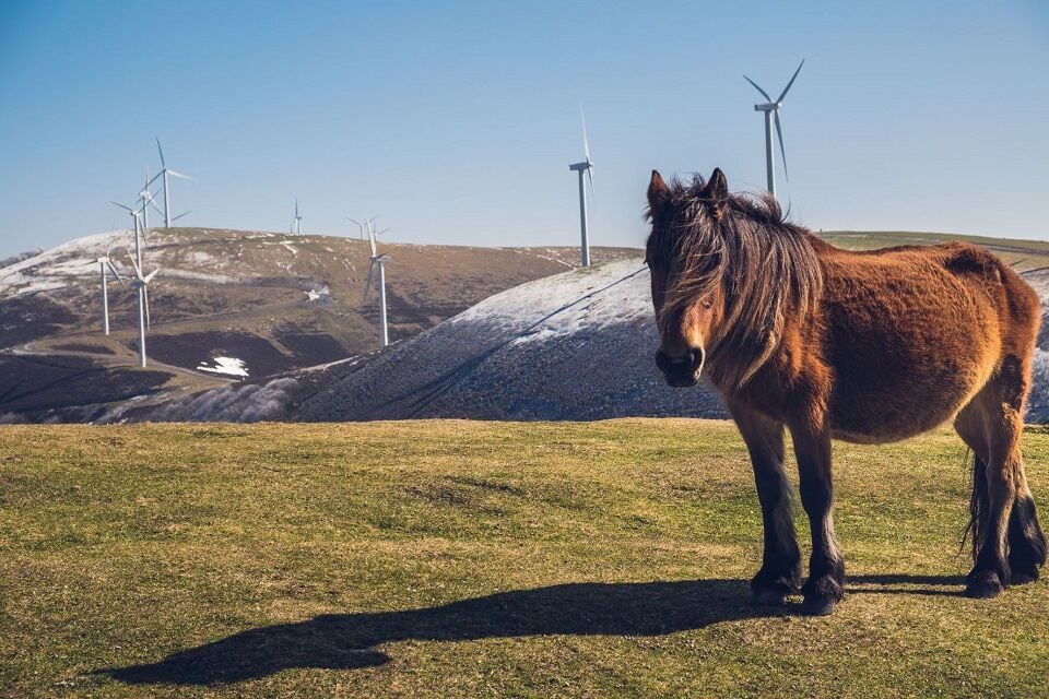 El parque eólico de Labraza que impulsa Iberdrola en Álava obtiene la autorización administrativa de construcción