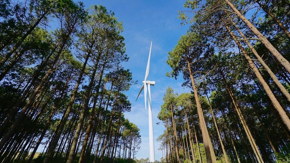 El parque eólico más grande de Portugal: Iberdrola obtiene la licencia de producción y la construcción avanza en 2025 