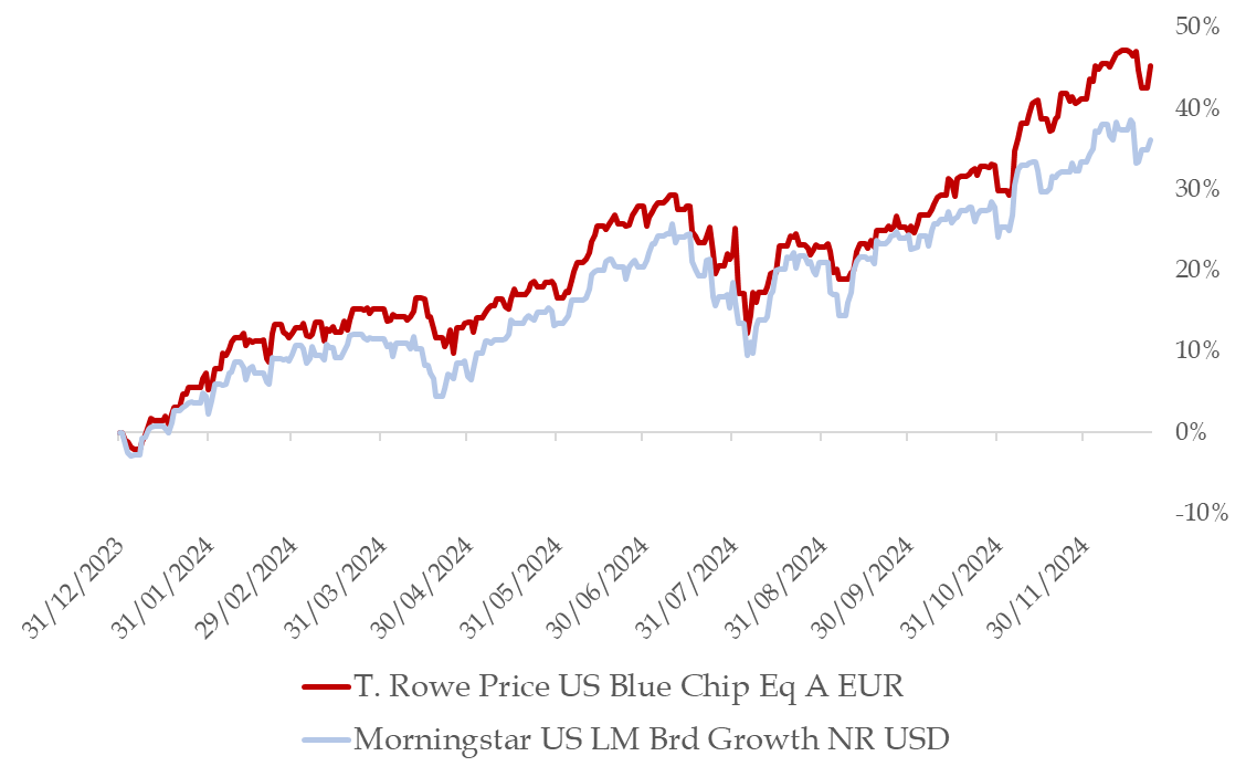 El fondo más rentable de Estados Unidos en 2024: T. Rowe Price US Blue Chip Equity