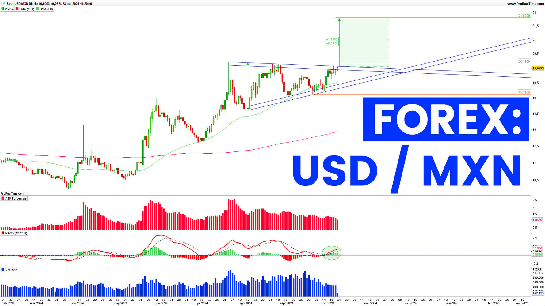 Forex: Expectativa de un mayor debilitamiento del Peso mexicano frente al Dólar norteamericano