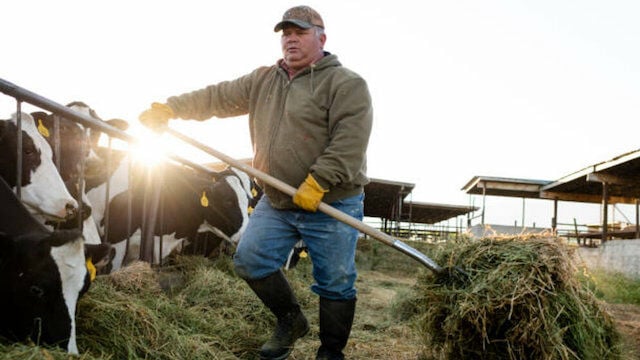 No todo es crecimiento en EEUU: la economía agraria, al borde de la recesión