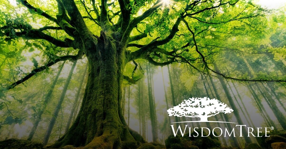 WisdomTree incorpora un ETF global a su gama Quality Growth