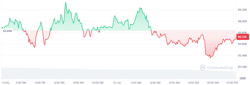 Bitcoin no consigue aguantar los 66.000 dólares