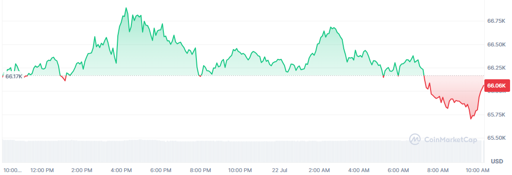 Bitcoin cae ligeramente pero intenta mantener los 66.000