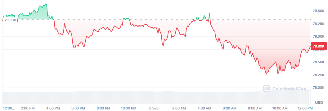 Bitcoin cae, pero se mantiene cerca de los 79.000